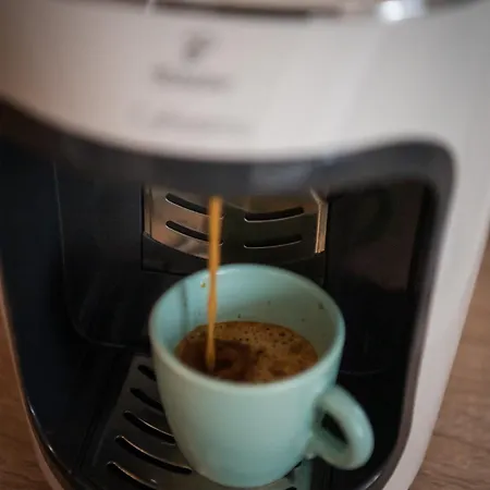 Dulcineea Downtown Garden アパート ティミショアラ