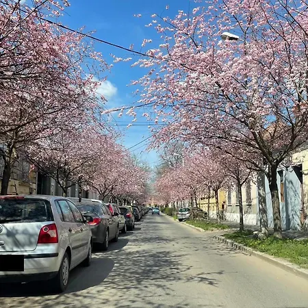 Apartment Dulcineea Downtown Garden