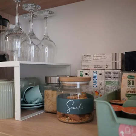 Dulcineea Downtown Garden Apartment Timisoara