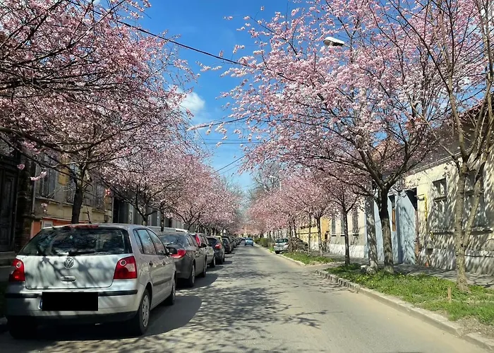 Apartamento Dulcineea Downtown Garden