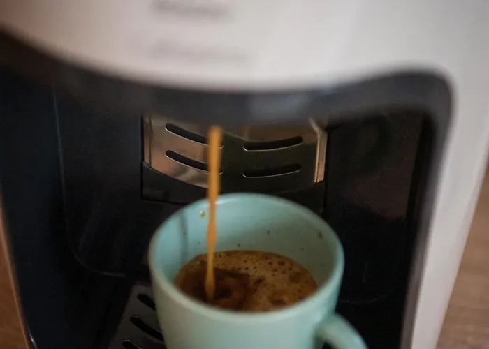 Dulcineea Downtown Garden Apartamento Timişoara